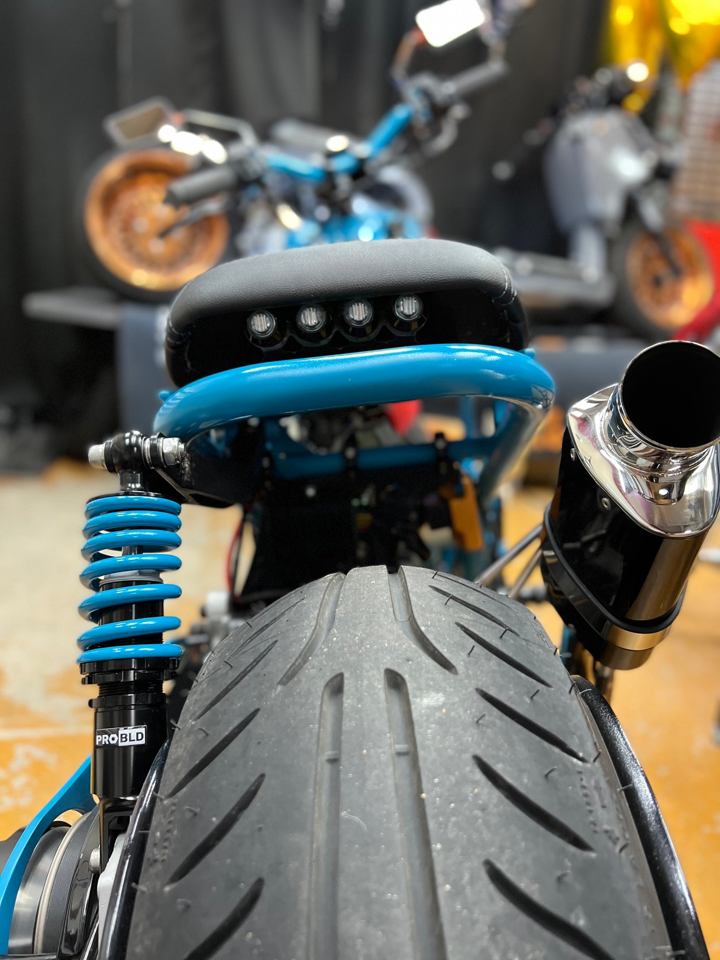 Ruckus LED Custom Taillight - FLP