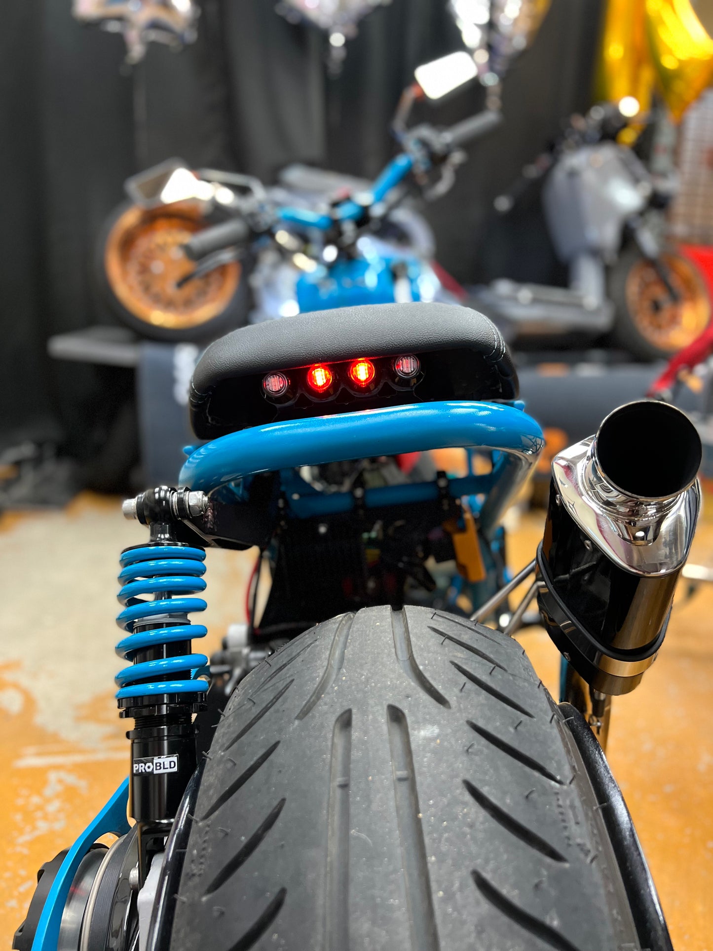 Ruckus LED Custom Taillight - FLP