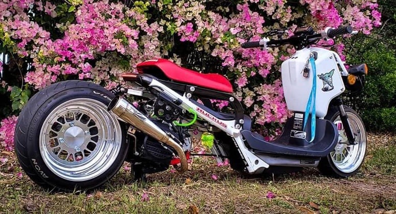 Honda Ruckus 50cc GET Rear Hub 4x4 - 4x110 - FLP