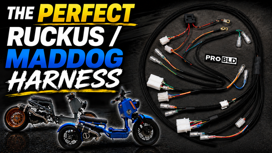 GY6 Ruckus / Maddog Wiring Harness