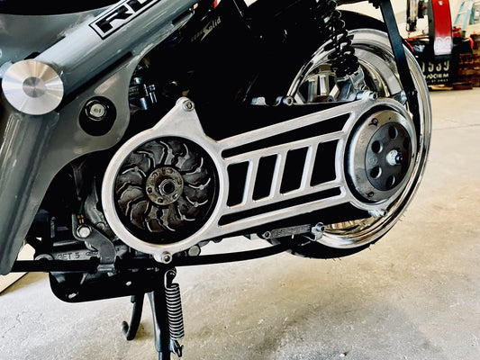 Honda Ruckus GET Ankle Biter