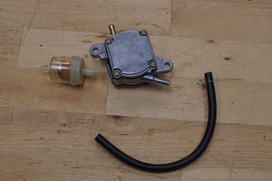 Scooter fuel pump