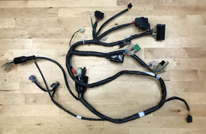 OEM Factory Honda Ruckus Wiring Harness