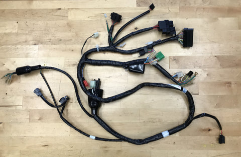 OEM Factory Honda Ruckus Wiring Harness