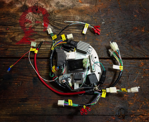 Honda Ruckus GY6 complete wiring harness