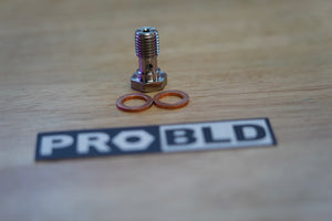 Banjo bolt and washer kit