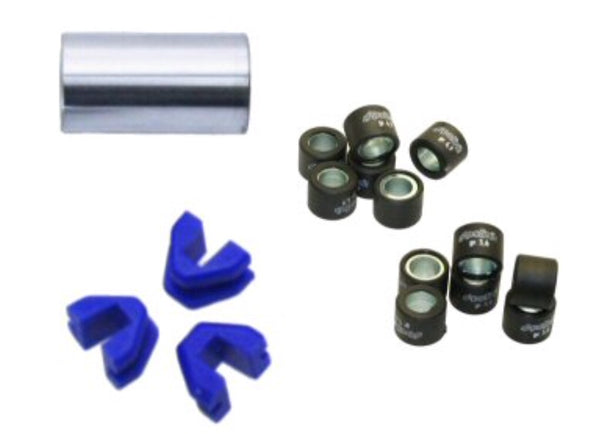 Honda Ruckus / metro Polini variator